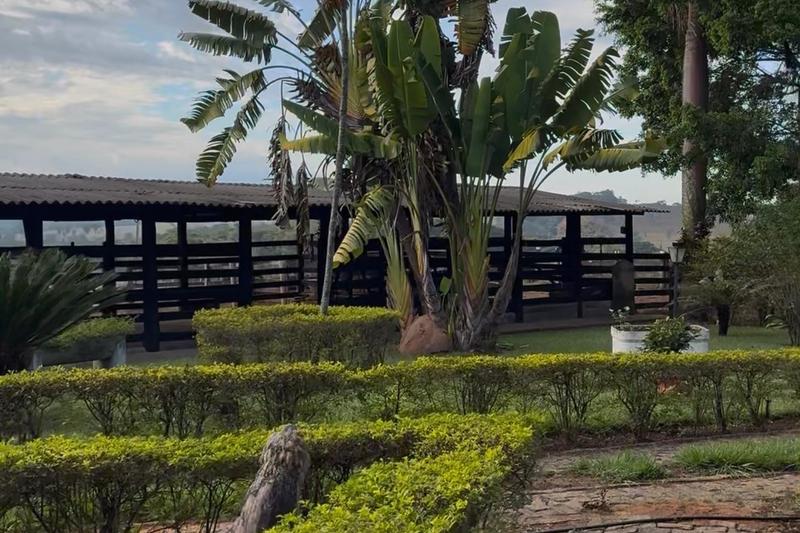 FAZENDA À VENDA EM PIRENÓPOLIS – GO | 37 ALQUEIRES | RIO DAS PEDRAS, imagem 3