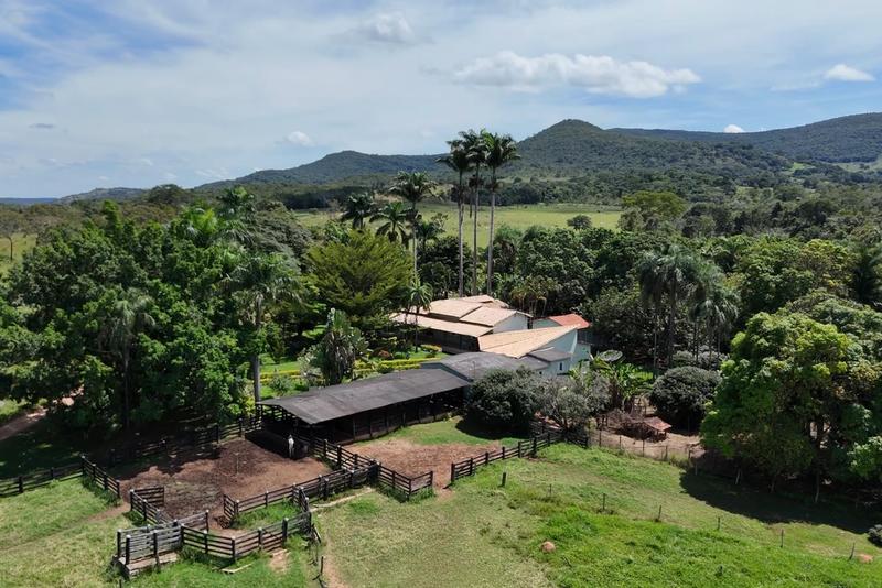 FAZENDA À VENDA EM PIRENÓPOLIS – GO | 37 ALQUEIRES | RIO DAS PEDRAS, imagem 6