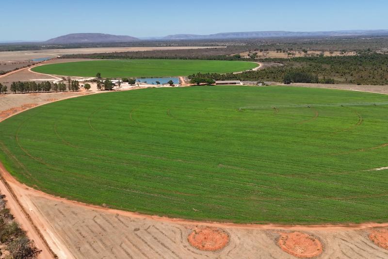 Fazenda Arinos, imagem 2
