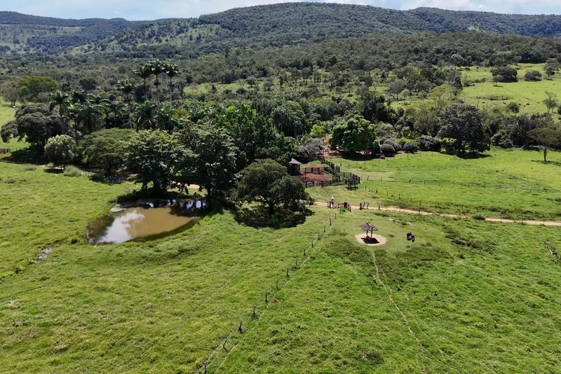 FAZENDA À VENDA EM PIRENÓPOLIS – GO | 37 ALQUEIRES | RIO DAS PEDRAS, imagem 8