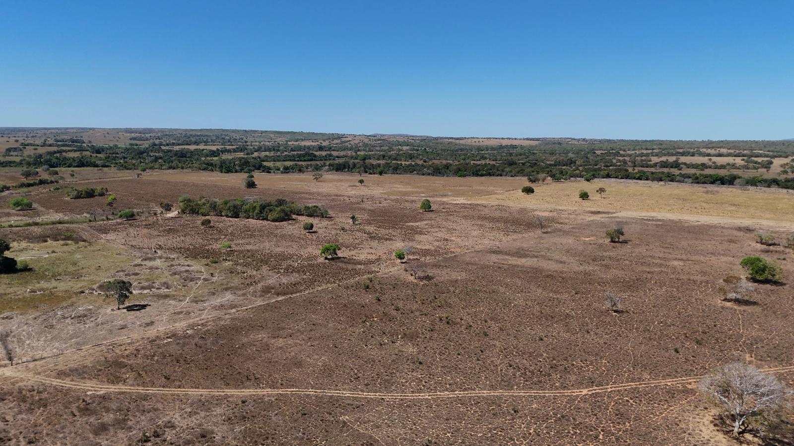 FAZENDA À VENDA EM BEZERRA – GO | 128 HECTARES | ÀS MARGENS DA BR-030
