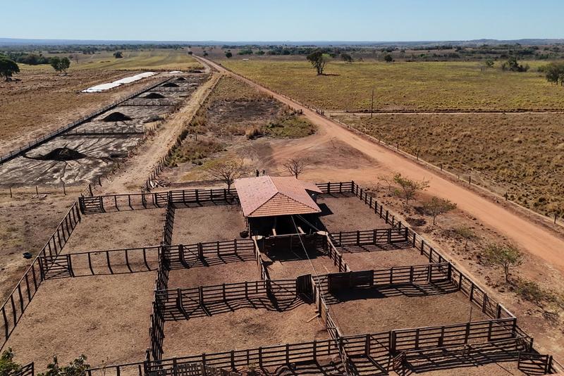 FAZENDA DE 4.022 HECTARES NO SUL DO TOCANTINS — PECUÁRIA DE ALTA PERFORMANCE COM CONFINAMENTO E FÁBRICA DE RAÇÃO, imagem 11