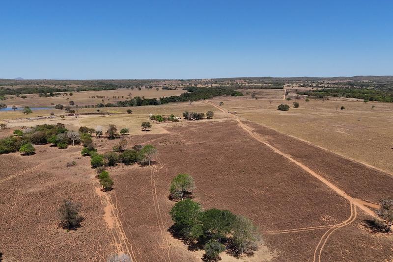 FAZENDA À VENDA EM BEZERRA – GO | 128 HECTARES | ÀS MARGENS DA BR-030, imagem 2
