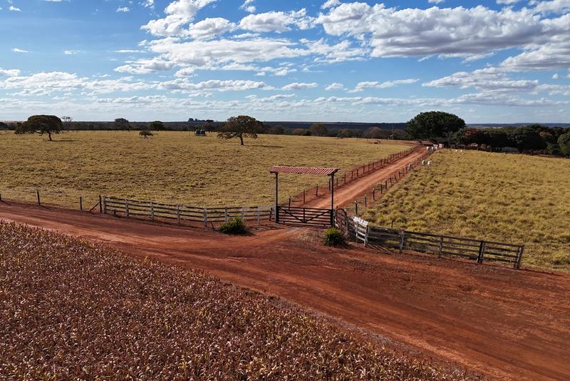 FAZENDA 546 HECTARES EM BURITIS-MG | RICA EM ÁGUA | 14 PASTOS | ÁREA DE LAZER COMPLETA | R$ 7,5 MILHÕES, imagem 3