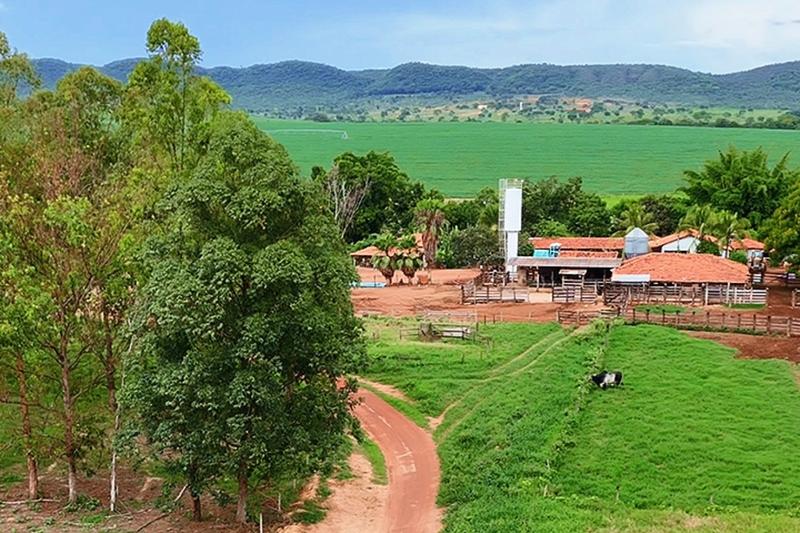 FAZENDA 554 HA EM UNAÍ-MG | 144 HA IRRIGADOS | 4 PIVÔS | R$ 31,5 MILHÕES, imagem 4