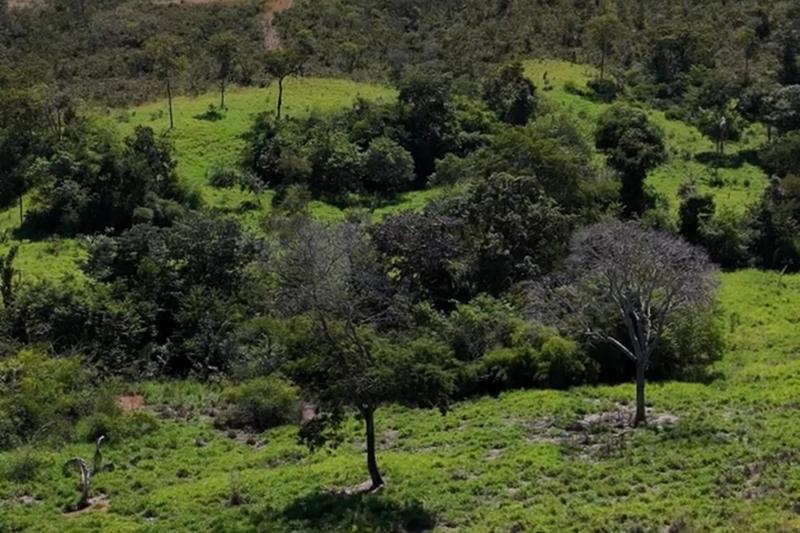 FAZENDA 128 ALQUEIRES À BEIRA DO LAGO SERRA DA MESA | 13 APARTAMENTOS | R$ 20 MILHÕES, imagem 12