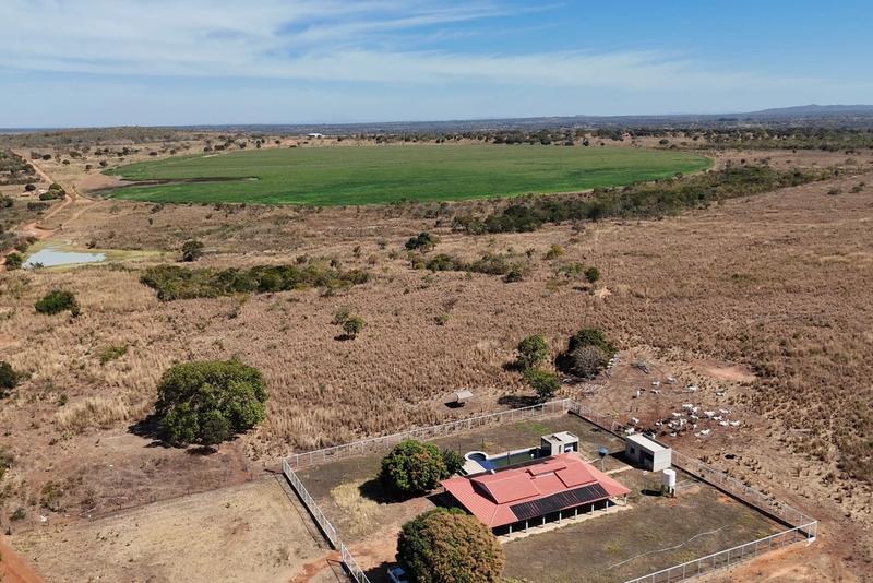 FAZENDA 437 HA EM DOM BOSCO-MG | CONFINAMENTO 1.000 BOIS | 99 HA IRRIGADOS | R$ 19 MILHÕES, imagem 7