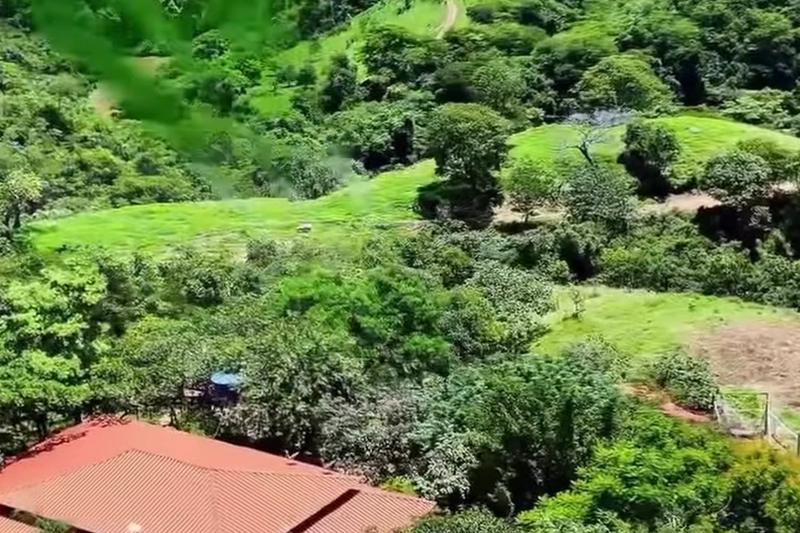 FAZENDA 210 ALQUEIRES | 8 KM DE RIO | 110 KM DE BRASÍLIA | R$ 12,7 MILHÕES., imagem 5