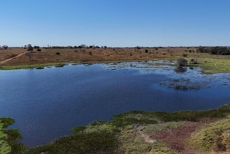 FAZENDA DE 4.022 HECTARES NO SUL DO TOCANTINS — PECUÁRIA DE ALTA PERFORMANCE COM CONFINAMENTO E FÁBRICA DE RAÇÃO, imagem 16