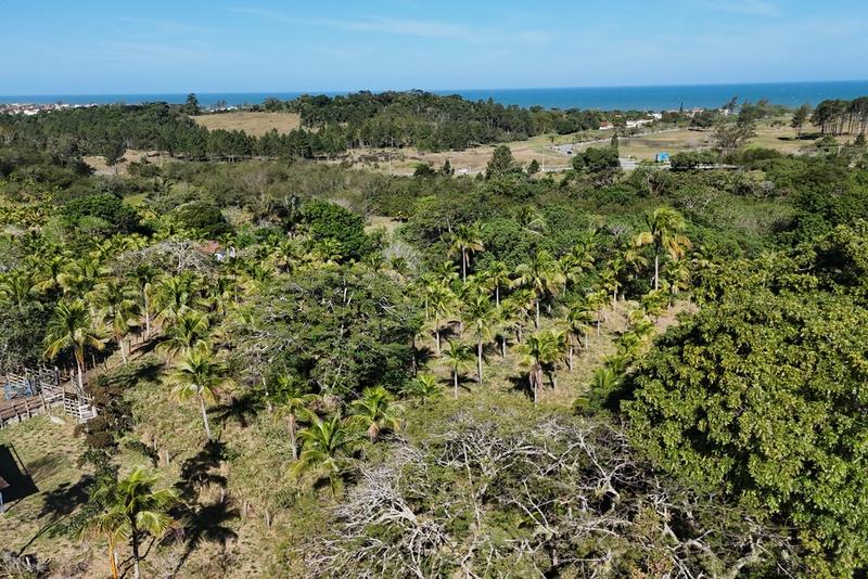 FAZENDA A 800M DO MAR | 91 HA | FRENTE À ÁREA DO FUTURO PORTO DE JACONÉ | 90 KM DO RIO, imagem 6