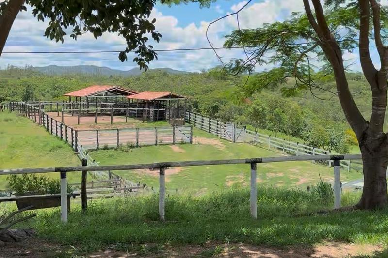 FAZENDA 210 ALQUEIRES | 8 KM DE RIO | 110 KM DE BRASÍLIA | R$ 12,7 MILHÕES., imagem 2