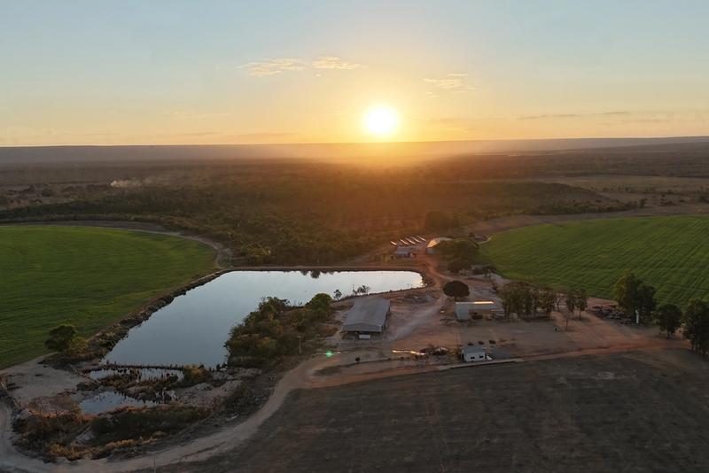 FAZENDA 1.245 HA EM ARINOS-MG | 612 HA IRRIGADOS | 10 PIVÔS, imagem 4