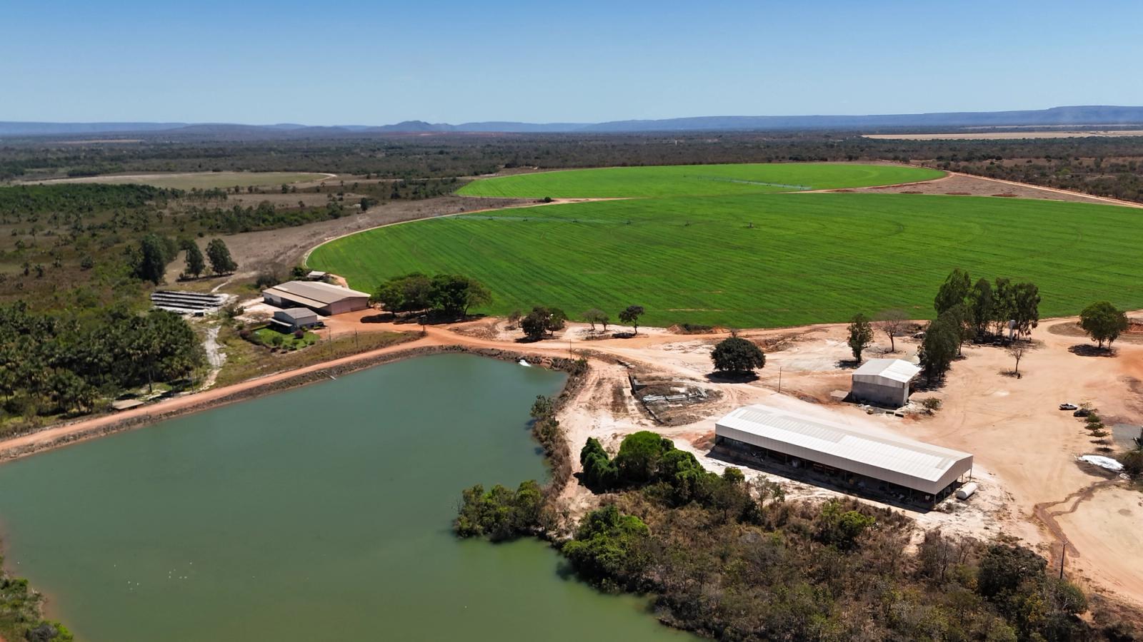 FAZENDA 1.245 HA EM ARINOS-MG | 612 HA IRRIGADOS | 10 PIVÔS