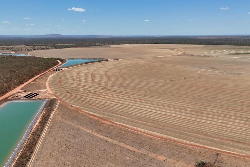 FAZENDA 1.245 HA EM ARINOS-MG | 612 HA IRRIGADOS | 10 PIVÔS, imagem 15
