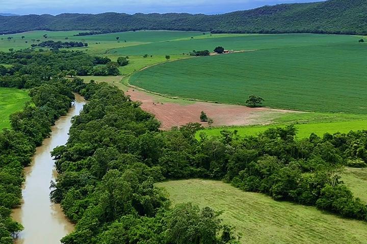 FAZENDA 554 HA EM UNAÍ-MG | 144 HA IRRIGADOS | 4 PIVÔS | R$ 31,5 MILHÕES