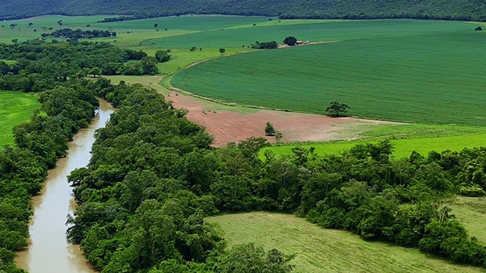 FAZENDA 554 HA EM UNAÍ-MG | 144 HA IRRIGADOS | 4 PIVÔS | R$ 31,5 MILHÕES
