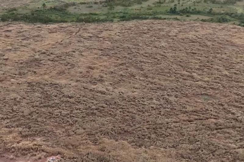 FAZENDA 2.500 HA EM NOVA BRASILÂNDIA-MT | 700 HA PLANTANDO | SOLO 35% A 50% ARGILA, imagem 5