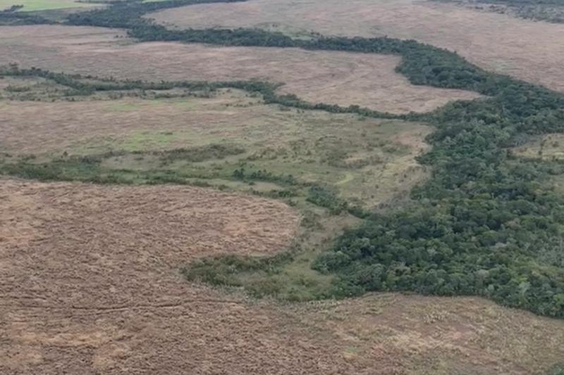 FAZENDA 2.500 HA EM NOVA BRASILÂNDIA-MT | 700 HA PLANTANDO | SOLO 35% A 50% ARGILA, imagem 2