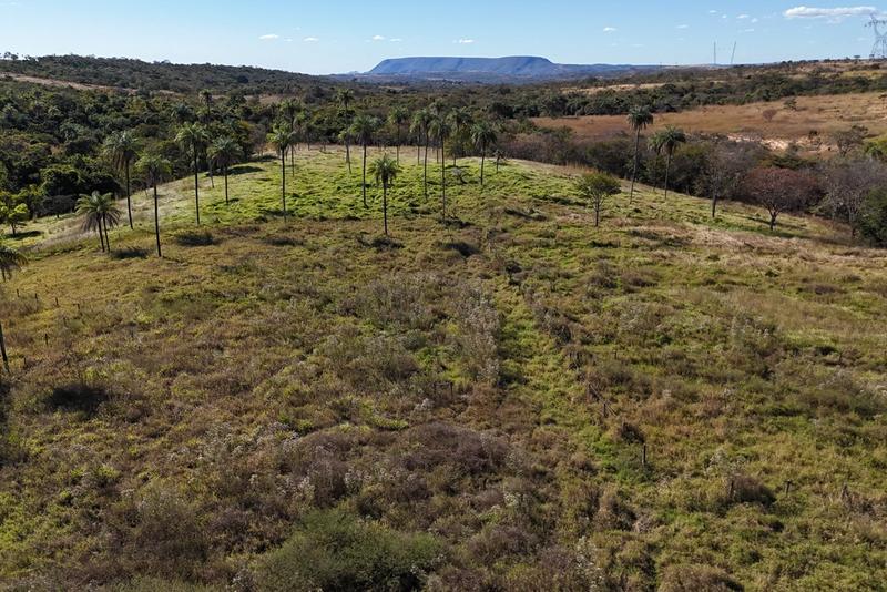 FAZENDA À VENDA EM BEZERRA – GO | 128 HECTARES | ÀS MARGENS DA BR-030, imagem 13
