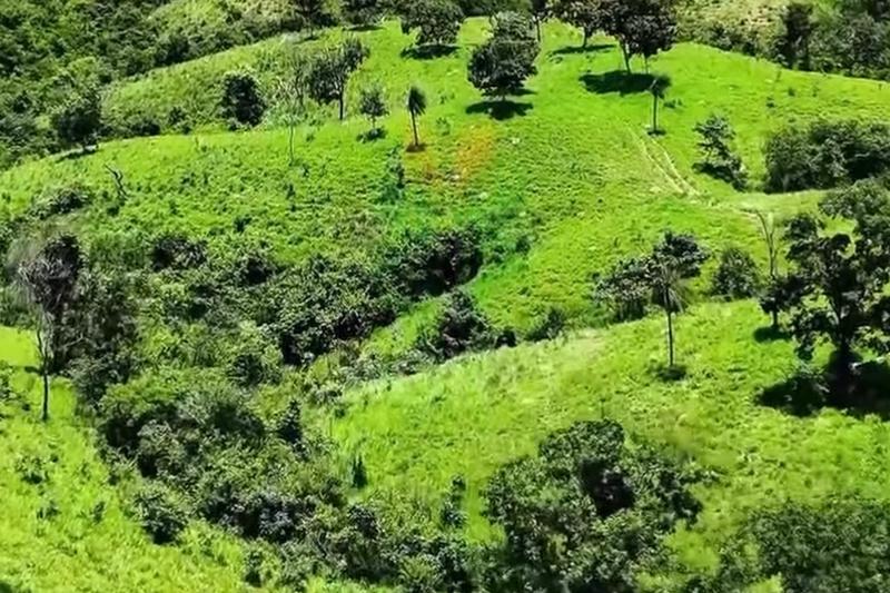 FAZENDA 210 ALQUEIRES | 8 KM DE RIO | 110 KM DE BRASÍLIA | R$ 12,7 MILHÕES., imagem 8