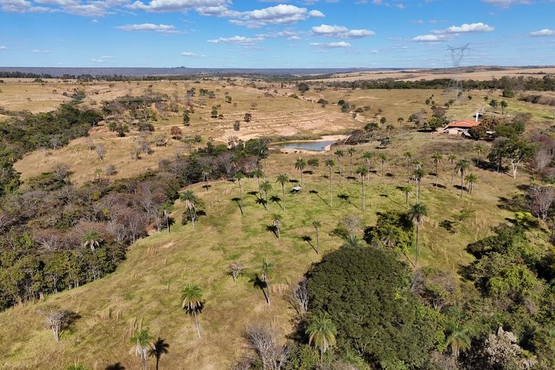 FAZENDA À VENDA EM BEZERRA – GO | 128 HECTARES | ÀS MARGENS DA BR-030, imagem 14