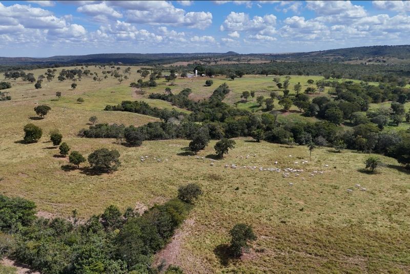 FAZENDA 100 ALQUEIRES EM BARRA DO GARÇAS-MT | 60% AGRICULTURA | BEIRA DA RODOVIA, imagem 3