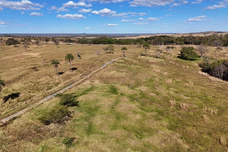 FAZENDA À VENDA EM BEZERRA – GO | 128 HECTARES | ÀS MARGENS DA BR-030, imagem 4