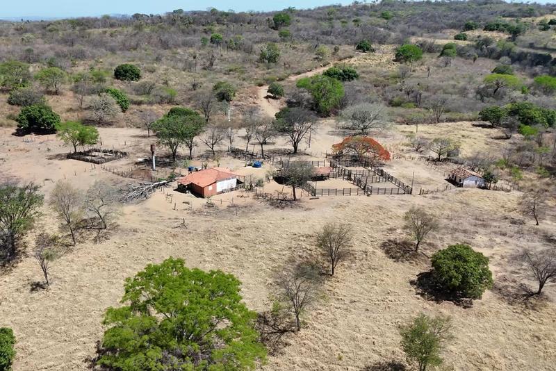 FAZENDA À VENDA EM POSSE – GO | ÀS MARGENS DA GO-446, imagem 4