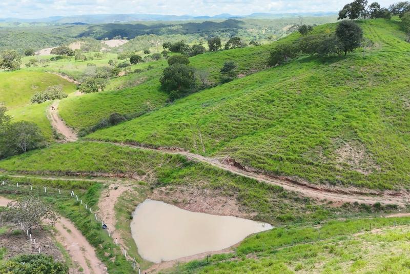 FAZENDA 210 ALQUEIRES | 8 KM DE RIO | 110 KM DE BRASÍLIA | R$ 12,7 MILHÕES., imagem 14