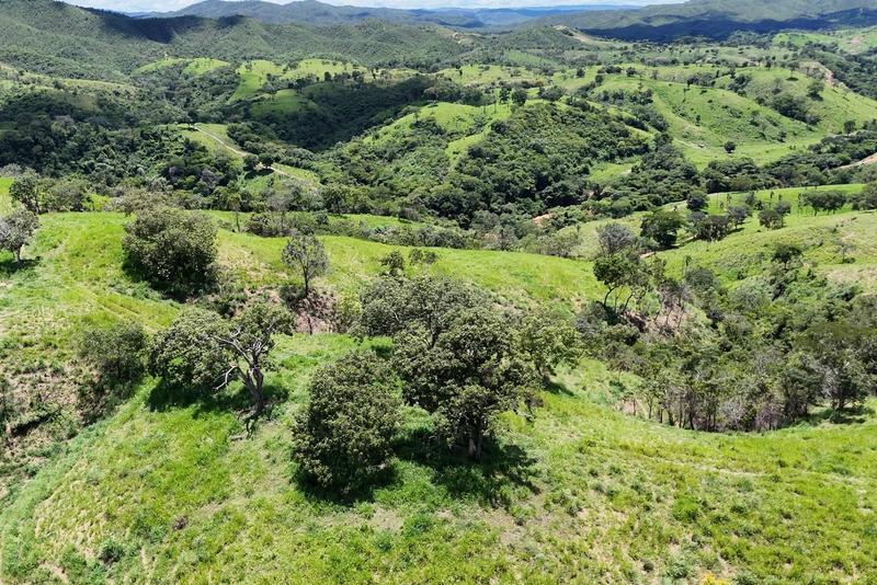 FAZENDA 210 ALQUEIRES | 8 KM DE RIO | 110 KM DE BRASÍLIA | R$ 12,7 MILHÕES., imagem 16