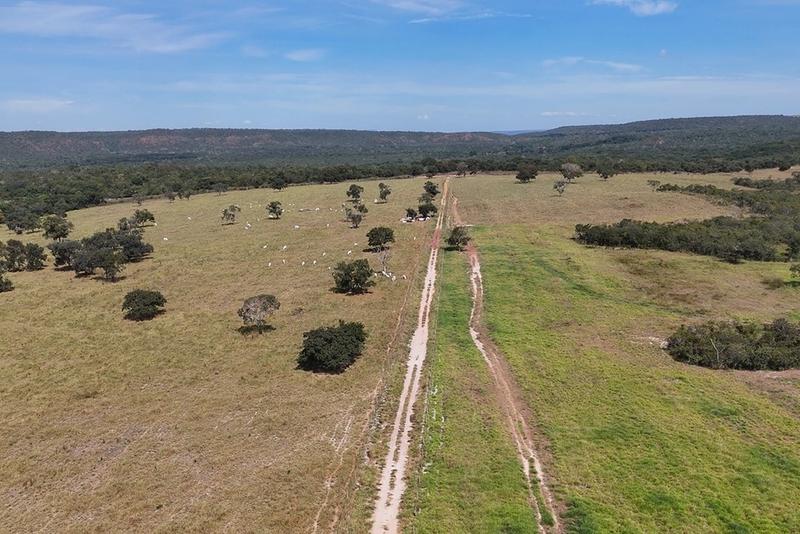 FAZENDA 100 ALQUEIRES EM BARRA DO GARÇAS-MT | 60% AGRICULTURA | BEIRA DA RODOVIA, imagem 2