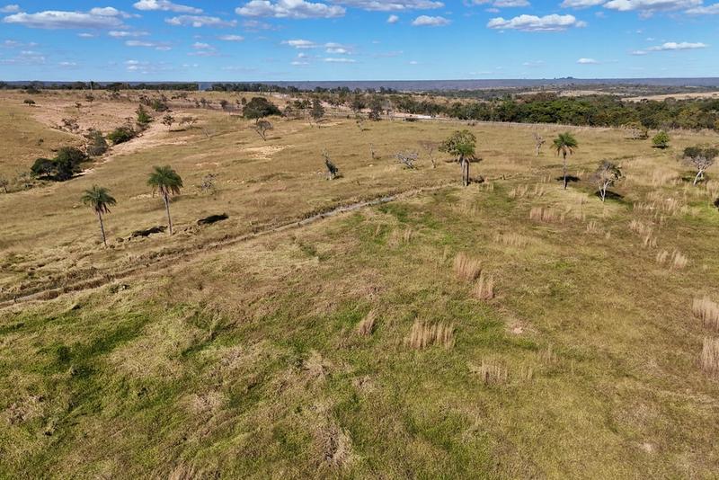 FAZENDA À VENDA EM BEZERRA – GO | 128 HECTARES | ÀS MARGENS DA BR-030, imagem 6