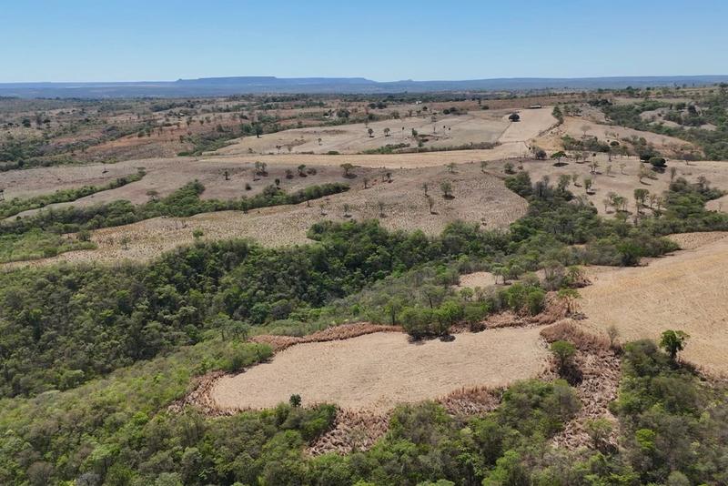 FAZENDA À VENDA EM POSSE – GO | ÀS MARGENS DA GO-446, imagem 3