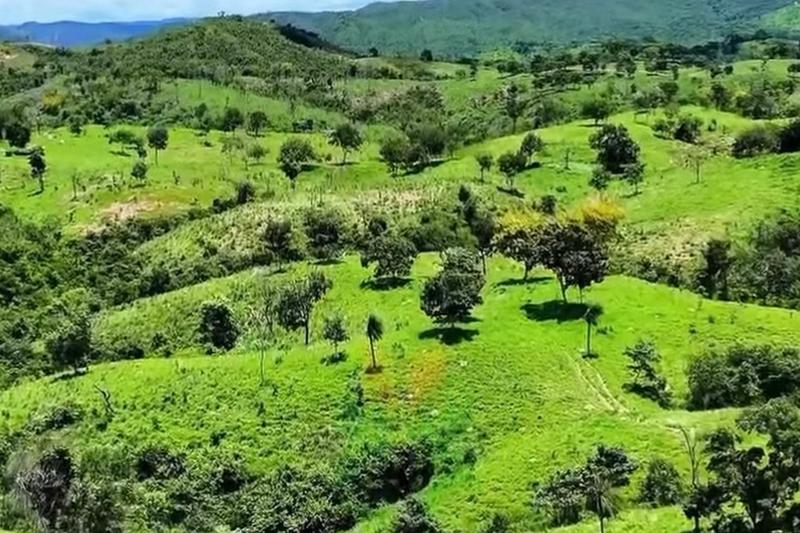 FAZENDA 210 ALQUEIRES | 8 KM DE RIO | 110 KM DE BRASÍLIA | R$ 12,7 MILHÕES., imagem 6