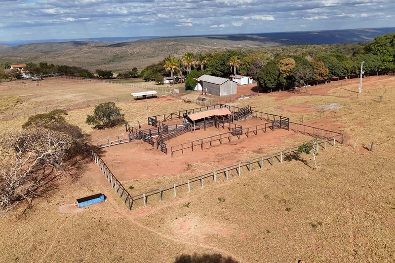 FAZENDA 546 HECTARES EM BURITIS-MG | RICA EM ÁGUA | 14 PASTOS | ÁREA DE LAZER COMPLETA | R$ 7,5 MILHÕES, imagem 8