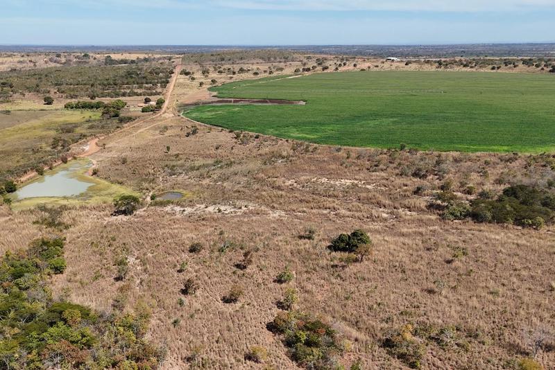 FAZENDA 437 HA EM DOM BOSCO-MG | CONFINAMENTO 1.000 BOIS | 99 HA IRRIGADOS | R$ 19 MILHÕES, imagem 14