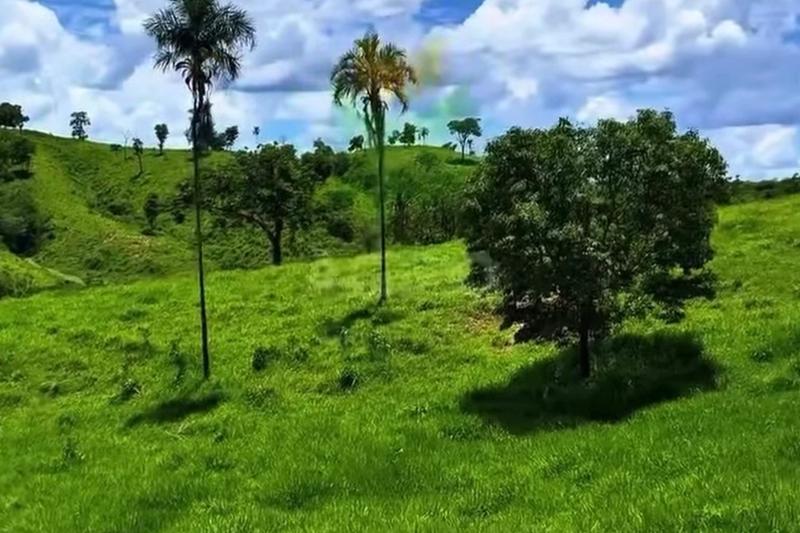 FAZENDA 210 ALQUEIRES | 8 KM DE RIO | 110 KM DE BRASÍLIA | R$ 12,7 MILHÕES., imagem 11
