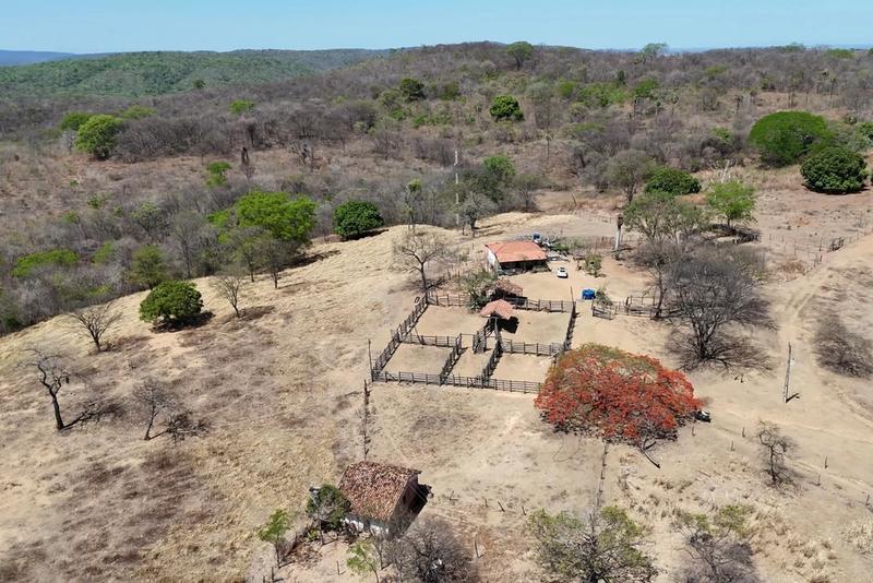 FAZENDA À VENDA EM POSSE – GO | ÀS MARGENS DA GO-446, imagem 5