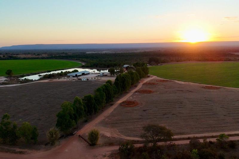 FAZENDA 1.245 HA EM ARINOS-MG | 612 HA IRRIGADOS | 10 PIVÔS, imagem 5