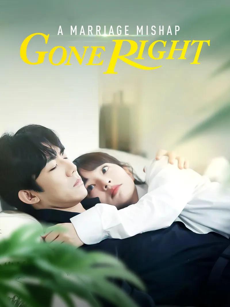 A Marriage Mishap Gone Right Movie Watch Online