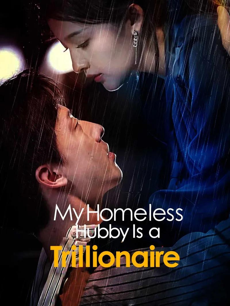 My Homeless Hubby Is a Trillionaire Movie Watch Online