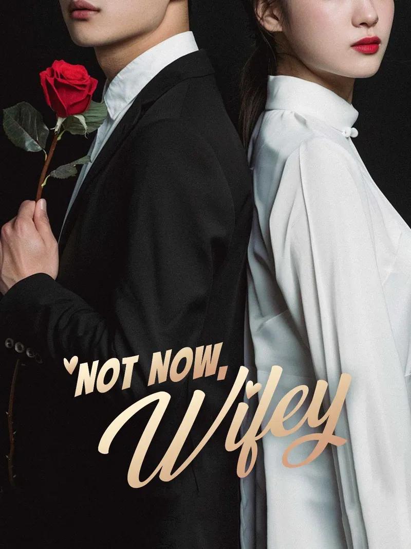 Not Now, Wifey Movie Watch Online
