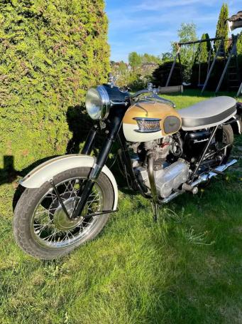 Triumph Thunderbird 650