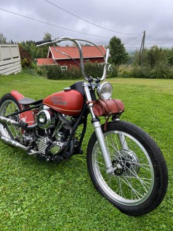 Harley-Davidson FL
