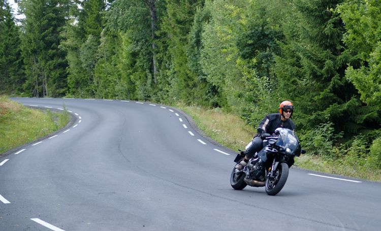 Mc-salget januar-august 2025