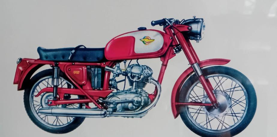 Ducati 175 T.S.