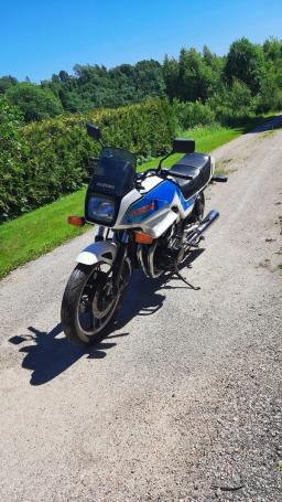 Suzuki GSX1100ES