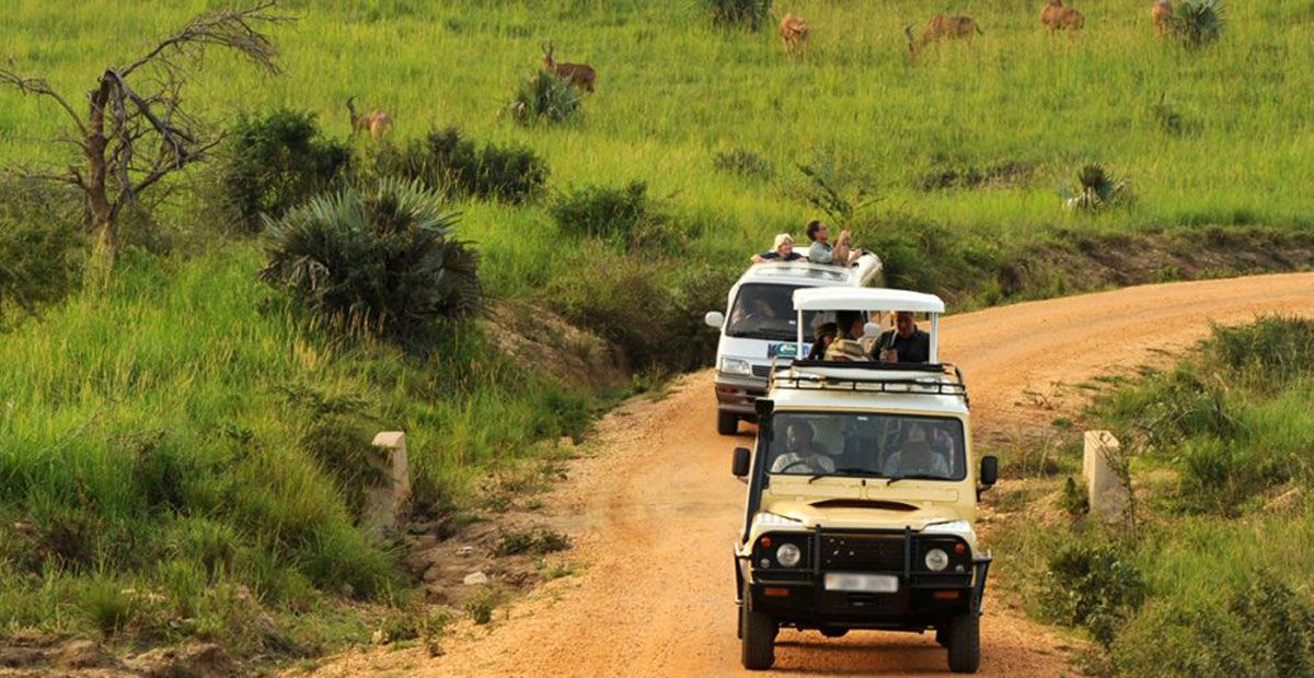 Exploring Uganda’s natural beauty: a self – drive safari guide to the national parks and their distances. – Uganda blog
