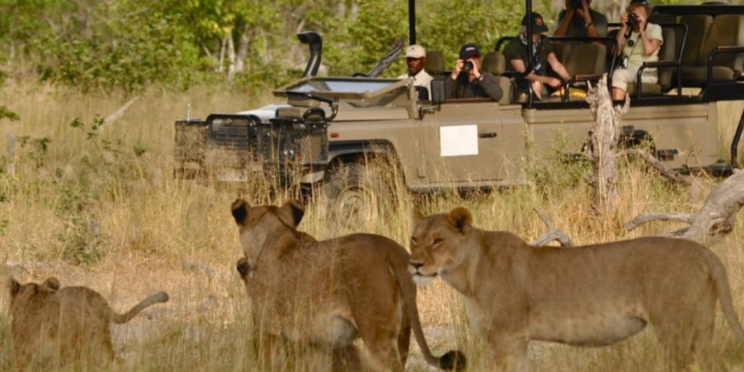 Choosing self-drive over guided safari tour on a Uganda safari, which is better – Uganda blog
