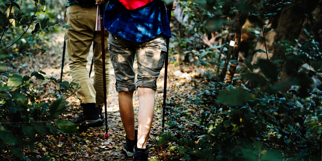 Best Activities to Do on a Uganda Safari – Uganda blog